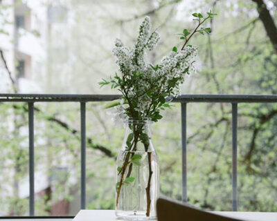 nature flowers table balcony